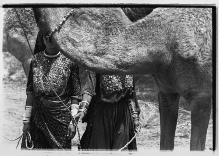 写真が問いかける“ファッションとは何か”   高木由利子「Threads of Beauty 1995–2025」展が渋谷・Bunkamuraで開催